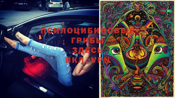 МДПВ Коряжма