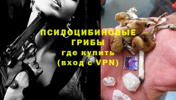 МДПВ Коряжма