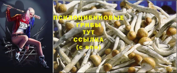 МДПВ Коряжма