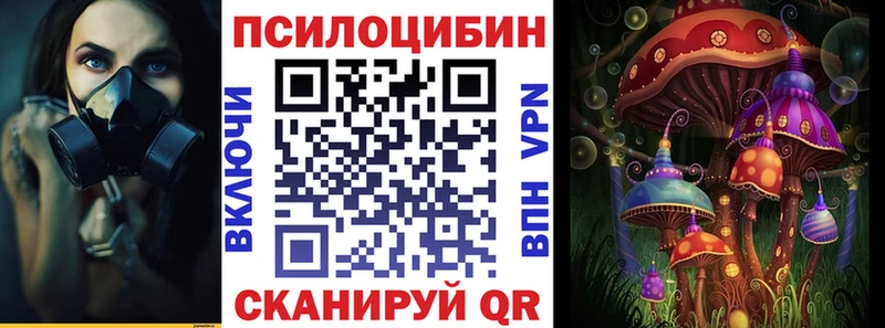 Купить где  Щёлкино  Галлюциногенные грибы Cubensis 